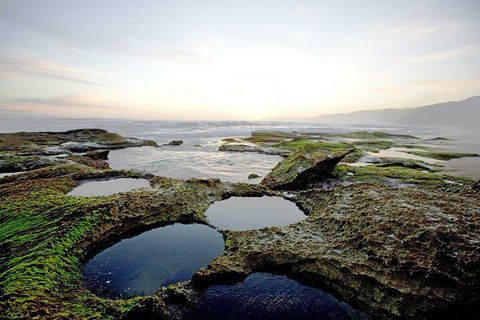 LGBT+ Friendly 3 Day Private Tour Great Ocean Road & Phillip Island - Accommodation Adelaide 5