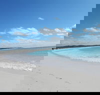 Shipwreck Special Nature Tour/Half Day Tour - Accommodation Adelaide