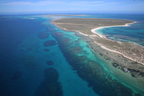Pink Lake + Abrolhos Islands Scenic Flight - Accommodation Adelaide 0