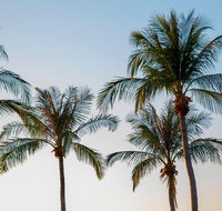 Darwin City Sightseeing Tour - Accommodation Adelaide