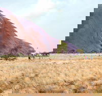 Uluru Sunrise and Guided Base Walk - Accommodation Adelaide