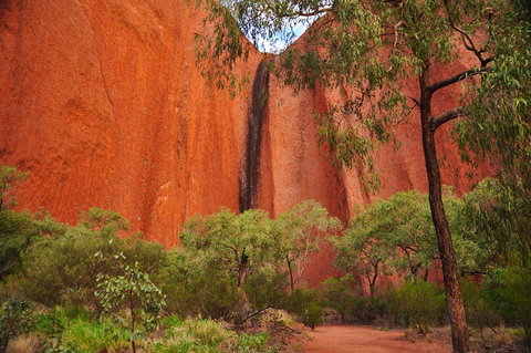 Uluru Sunrise And Guided Base Walk - Accommodation Adelaide 3