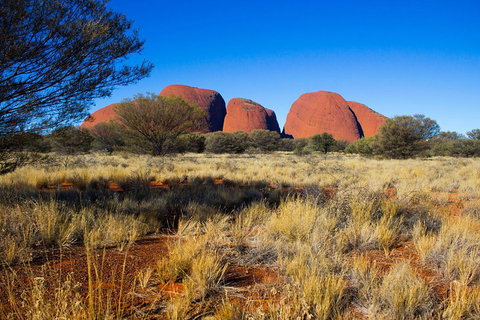 Kata Tjuta Sunrise And Valley Of The Winds Half-Day Trip - Accommodation Adelaide 1