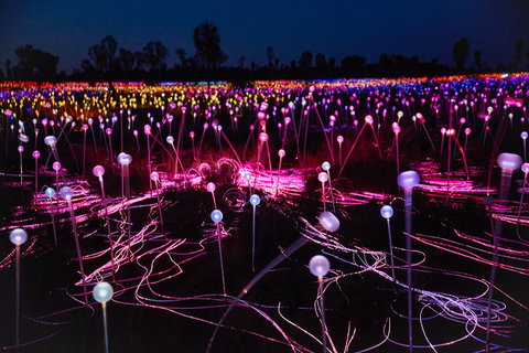 Uluru (Ayers Rock) Field Of Light Sunrise Tour - Accommodation Adelaide 1