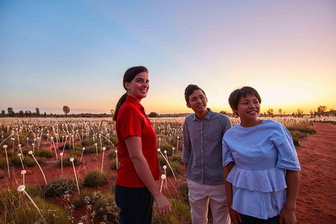 Uluru (Ayers Rock) Field Of Light Sunrise Tour - Accommodation Adelaide 2
