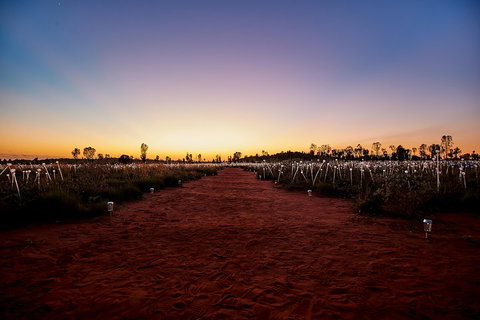 Uluru (Ayers Rock) Field Of Light Sunrise Tour - Accommodation Adelaide 3
