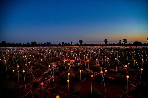 Uluru (Ayers Rock) Field Of Light Sunrise Tour - Accommodation Adelaide 4