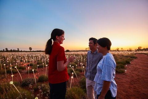Uluru (Ayers Rock) Field Of Light Sunrise Tour - Accommodation Adelaide 5
