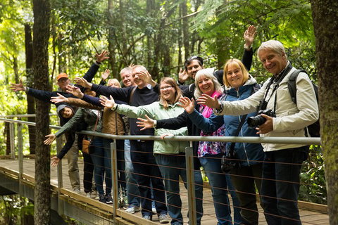 All Inclusive Blue Mountains Small-Group Day Trip From Sydney - Accommodation Adelaide 5
