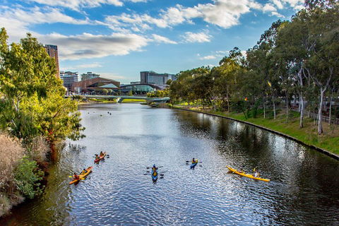 Adelaide City Kayak Tour - Accommodation Adelaide 0