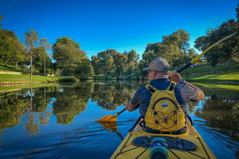 Adelaide City Kayak Tour - Accommodation Adelaide 5