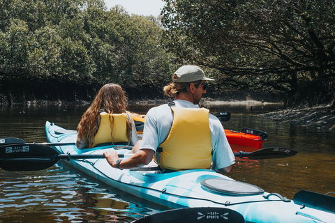 Kayak Tour In Adelaide Dolphin Sanctuary - Accommodation Adelaide 2