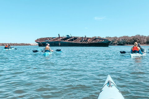 Kayak Tour In Adelaide Dolphin Sanctuary - Accommodation Adelaide 3