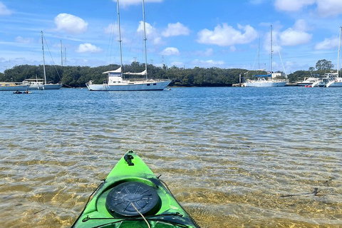 Kayak Tour In Adelaide Dolphin Sanctuary - Accommodation Adelaide 4