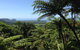 Daintree And Cape Tribulation Full Day Guided Tour - thumb 2