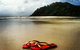 Daintree And Cape Tribulation Full Day Guided Tour - thumb 4