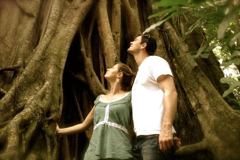 Daintree And Cape Tribulation Full Day Guided Tour - Accommodation Adelaide 5
