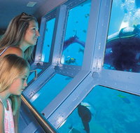 Quicksilver Outer Great Barrier Reef Snorkel Cruise from Palm Cove - Accommodation Adelaide