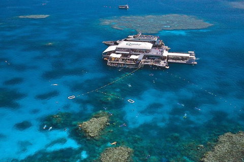 Quicksilver Outer Great Barrier Reef Snorkel Cruise From Palm Cove - Accommodation Adelaide 1