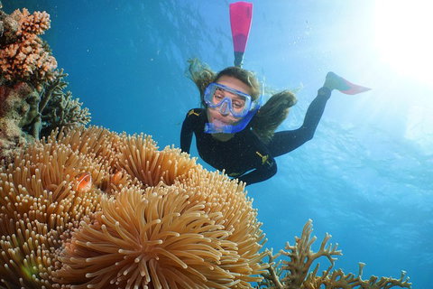 Quicksilver Outer Great Barrier Reef Snorkel Cruise From Palm Cove - Accommodation Adelaide 2