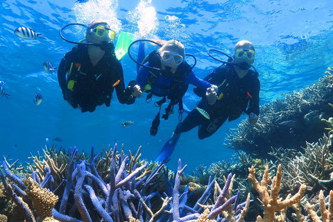 Quicksilver Outer Great Barrier Reef Snorkel Cruise From Palm Cove - Accommodation Adelaide 3