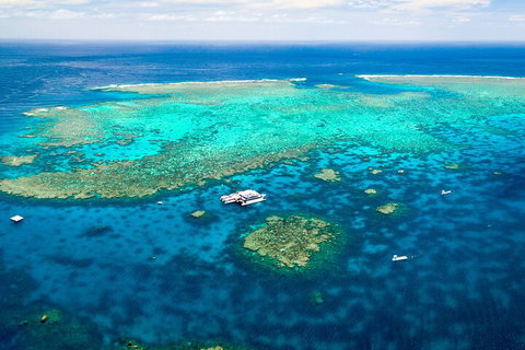 Quicksilver Outer Great Barrier Reef Snorkel Cruise From Palm Cove - Accommodation Adelaide 4