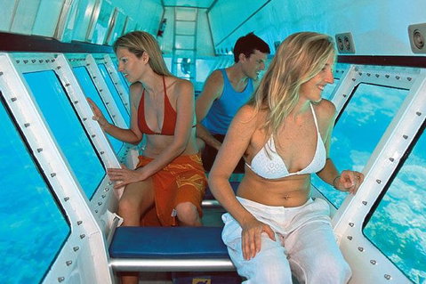 Quicksilver Outer Great Barrier Reef Snorkel Cruise From Palm Cove - Accommodation Adelaide 5