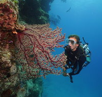 Silversonic Outer Great Barrier Reef Dive and Snorkel Cruise from Port Douglas - Accommodation Adelaide