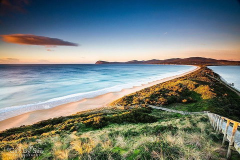 Bruny Island Private Charter Service - Accommodation Adelaide 0