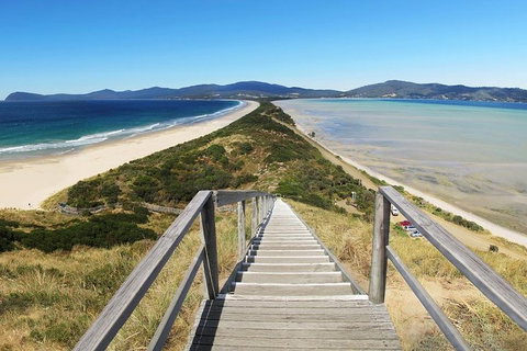 Bruny Island Private Charter Service - Accommodation Adelaide 4