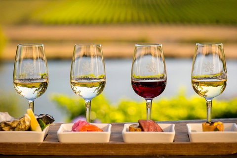 West Tamar Wine Tour - Accommodation Adelaide 1