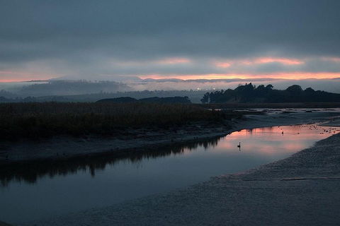 Launceston Private Charter Service - Accommodation Adelaide 1