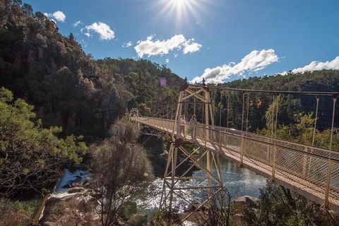 Launceston Private Charter Service - Accommodation Adelaide 5