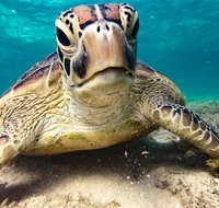 Sail Snorkel SUP  Kayak Charter Whitsundays - Accommodation Adelaide