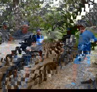 Fully guided E-Mountain Bike Tour on the beautiful Mornington Peninsula. - Accommodation Adelaide