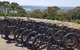 Fully Guided E-Mountain Bike Tour On The Beautiful Mornington Peninsula. - thumb 4