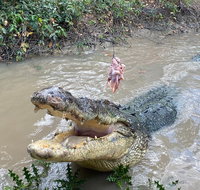 Top End Waterfalls and Wetlands - Accommodation Adelaide