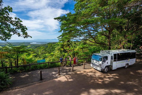Daintree And Cape Tribulation Tour From Cairns - Accommodation Adelaide 3