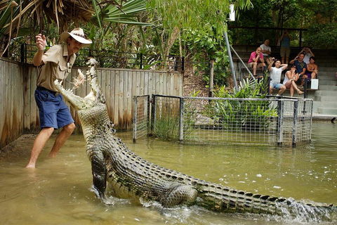 Hartley's Crocodile Adventure Half-Day Tour - Accommodation Adelaide 2