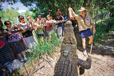 Hartley's Crocodile Adventure Half-Day Tour - Accommodation Adelaide 4