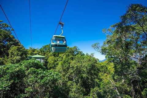 Skyrail Rainforest Cableway Day Trip From Cairns - Accommodation Adelaide 1