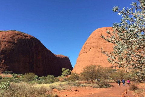 5-Hour Kata Tjuta Sunrise Tour From Ayers Rock With Breakfast - Accommodation Adelaide 4