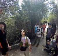 Active Day Tour One-Way from Launceston to Hobart via Wineglass Bay - Accommodation Adelaide