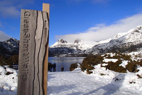 Cradle Mountain Active Day Trip From Launceston - Accommodation Adelaide 3