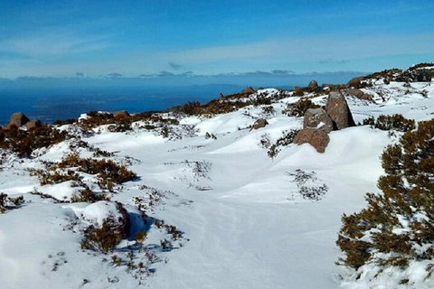 Mt Wellington Ultimate Experience Tour From Hobart - Accommodation Adelaide 4