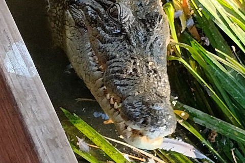 Litchfield Park Adventures And Jumping Crocodile Cruise + Butterfly Farm - Accommodation Adelaide 1