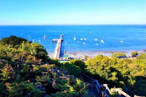 Mornington Peninsula Sightseeing Tour For 2-6 Guests. - Accommodation Adelaide 1