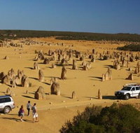 1-Day Pinnacles and Yanchep Tour from Perth including Fish and Chips Lunch - Accommodation Adelaide
