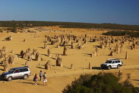 1-Day Pinnacles And Yanchep Tour From Perth Including Fish And Chips Lunch - Accommodation Adelaide 0
