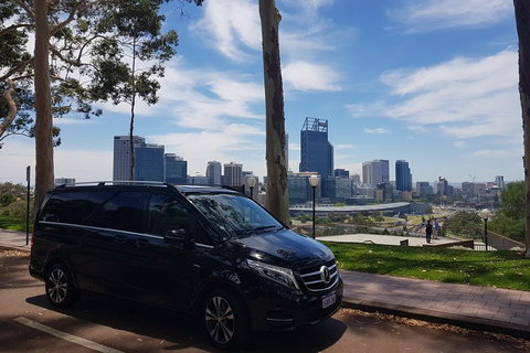 1-Day Pinnacles And Yanchep Tour From Perth Including Fish And Chips Lunch - Accommodation Adelaide 1